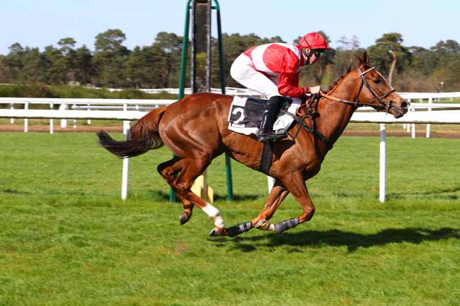 Photo d'arrivée de la course pmu PRIX DES BRUYERES à FONTAINEBLEAU le Mardi 17 avril 2018
