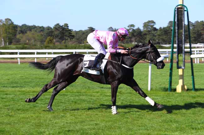 Photo d'arrivée de la course pmu PRIX JEAN-JACQUES GUYON à FONTAINEBLEAU le Mardi 17 avril 2018