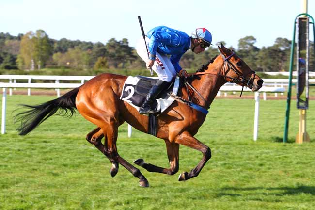 Photo d'arrivée de la course pmu PRIX DE LA TOUR DENECOURT à FONTAINEBLEAU le Mardi 17 avril 2018