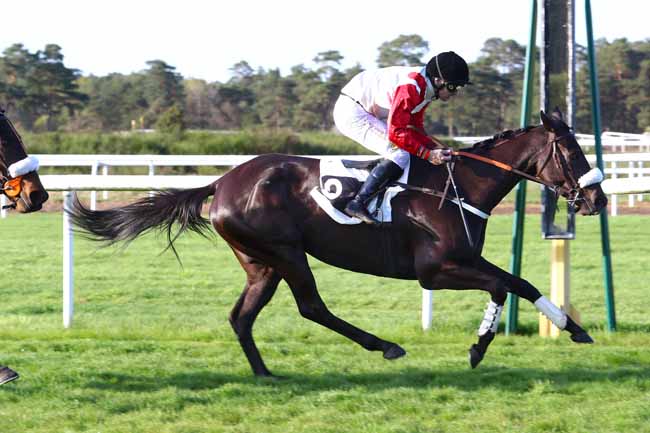 Photo d'arrivée de la course pmu PRIX QUAZVIN II à FONTAINEBLEAU le Mardi 17 avril 2018