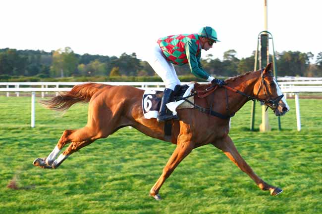 Photo d'arrivée de la course pmu PRIX DE LA MARE A PIAT à FONTAINEBLEAU le Mardi 17 avril 2018