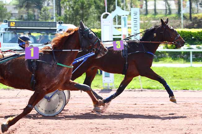 Photo d'arrivée de la course pmu PRIX DE LA VILLE DE PONTCHATEAU à PONTCHATEAU le Mercredi 18 avril 2018
