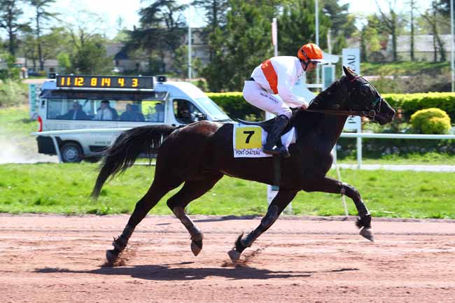 Photo d'arrivée de la course pmu PRIX DU CONSEIL DEPARTEMENTAL DE LOIRE-ATLANTIQUE à PONTCHATEAU le Mercredi 18 avril 2018