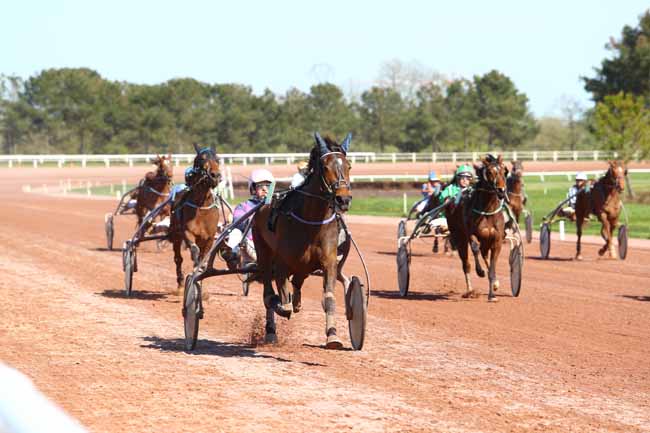 Photo d'arrivée de la course pmu PRIX DOMINIQUE DAVID (GR A) à PONTCHATEAU le Mercredi 18 avril 2018