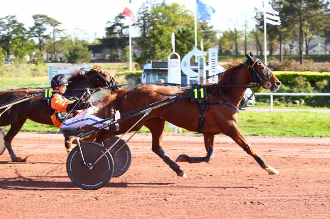 Photo d'arrivée de la course pmu PRIX PMU LE VINCENNES - PONTCHATEAU à PONTCHATEAU le Mercredi 18 avril 2018