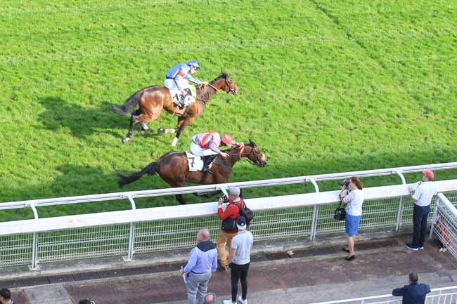 Photo d'arrivée de la course pmu PRIX ARTHUR VEIL-PICARD à AUTEUIL le Mercredi 18 avril 2018
