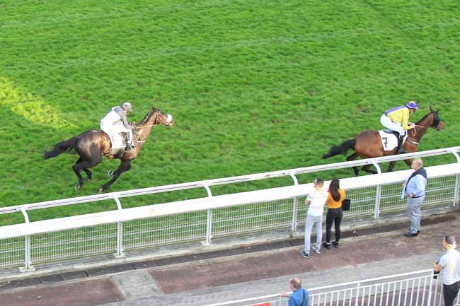Photo d'arrivée de la course pmu PRIX LE HON à AUTEUIL le Mercredi 18 avril 2018