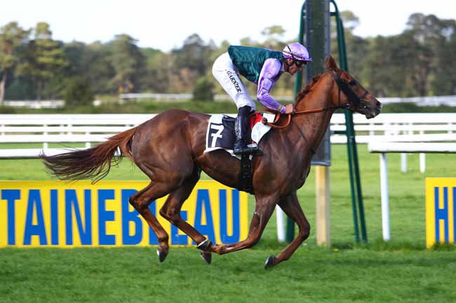 Photo d'arrivée de la course pmu PRIX DE L'ORVANNE à FONTAINEBLEAU le Samedi 21 avril 2018