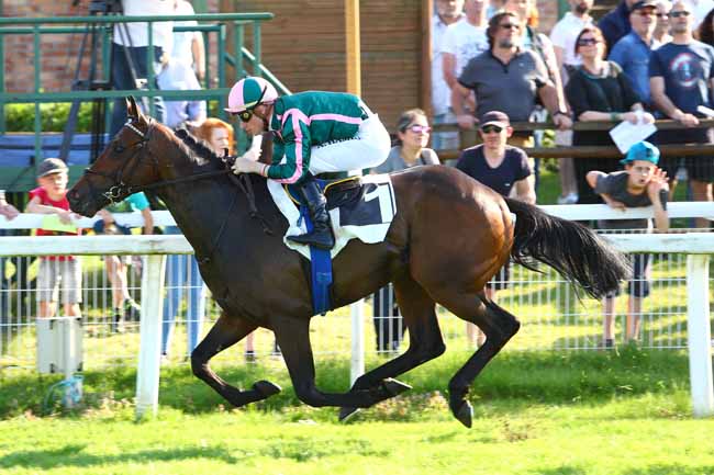 Photo d'arrivée de la course pmu PRIX DE MORET-SUR-LOING à FONTAINEBLEAU le Samedi 21 avril 2018