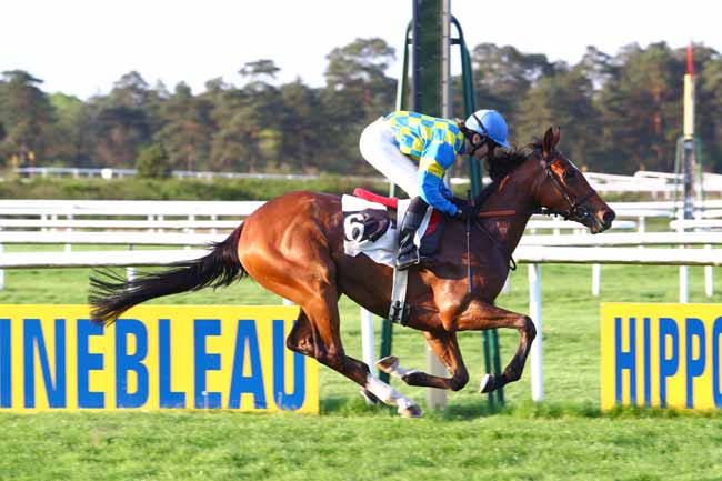 Photo d'arrivée de la course pmu PRIX DES IFS à FONTAINEBLEAU le Samedi 21 avril 2018