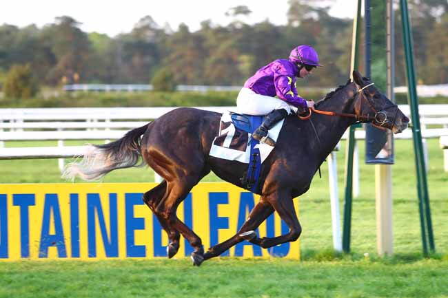 Photo d'arrivée de la course pmu PRIX DE LA FAISANDERIE à FONTAINEBLEAU le Samedi 21 avril 2018
