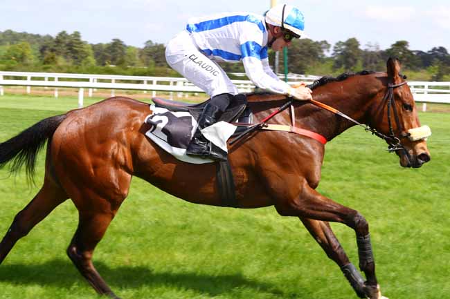 Photo d'arrivée de la course pmu PRIX MAURICE ET JEROME BERNARDET à FONTAINEBLEAU le Mardi 24 avril 2018