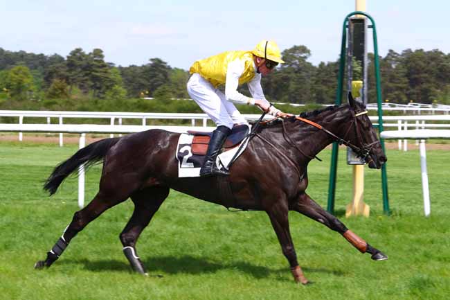 Photo d'arrivée de la course pmu PRIX BEN à FONTAINEBLEAU le Mardi 24 avril 2018
