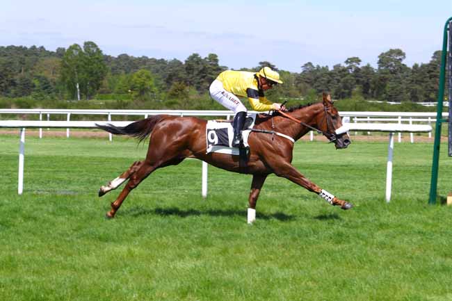 Photo d'arrivée de la course pmu PRIX JEAN TRARIEUX à FONTAINEBLEAU le Mardi 24 avril 2018