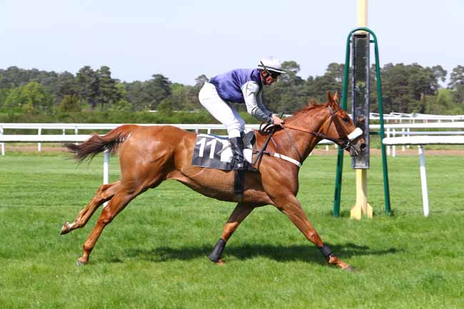 Photo d'arrivée de la course pmu PRIX ANDRE THERON à FONTAINEBLEAU le Mardi 24 avril 2018