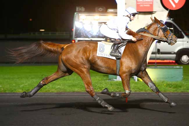 Photo d'arrivée de la course pmu PRIX MIRIAM à PARIS-VINCENNES le Mardi 24 avril 2018