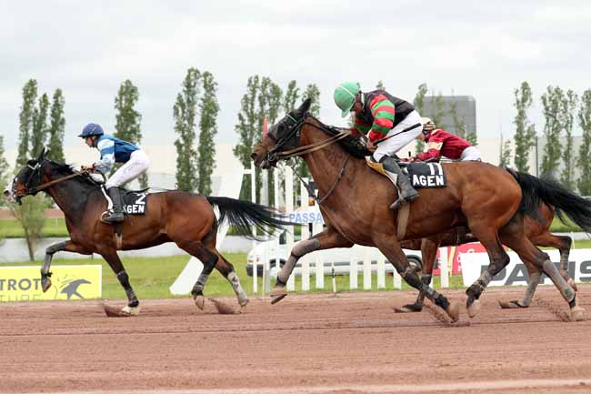 Photo d'arrivée de la course pmu PRIX DE LA VILLE LE PASSAGE à AGEN LE PASSAGE le Mercredi 25 avril 2018