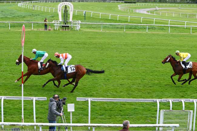 Photo d'arrivée de la course pmu PRIX DU PETIT MORIN à MAISONS-LAFFITTE le Mercredi 25 avril 2018
