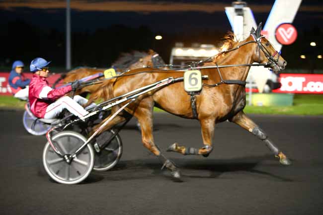 Photo d'arrivée de la course pmu PRIX ARACHNE à PARIS-VINCENNES le Mardi 1 mai 2018