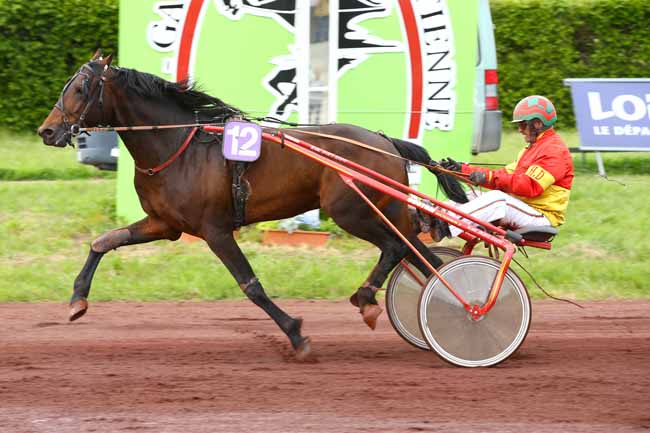 Photo d'arrivée de la course pmu PRIX SAINT-ETIENNE METROPOLE à SAINT GALMIER le Mercredi 2 mai 2018