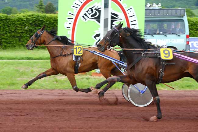Photo d'arrivée de la course pmu PRIX FRANCE BLEU SAINT-ETIENNE LOIRE à SAINT GALMIER le Mercredi 2 mai 2018