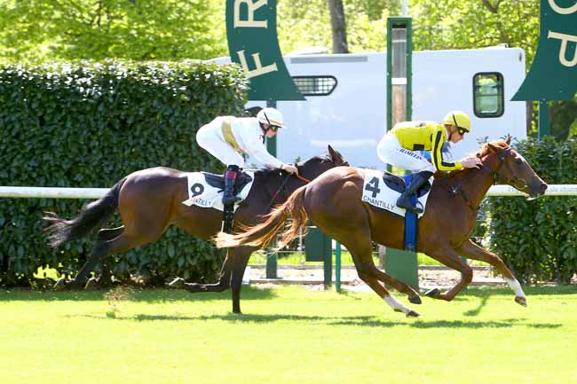 Photo d'arrivée de la course pmu PRIX DE LA VERRERIE à CHANTILLY le Mercredi 2 mai 2018