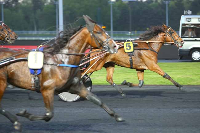 Photo d'arrivée de la course pmu PRIX GLAUKE à PARIS-VINCENNES le Vendredi 4 mai 2018