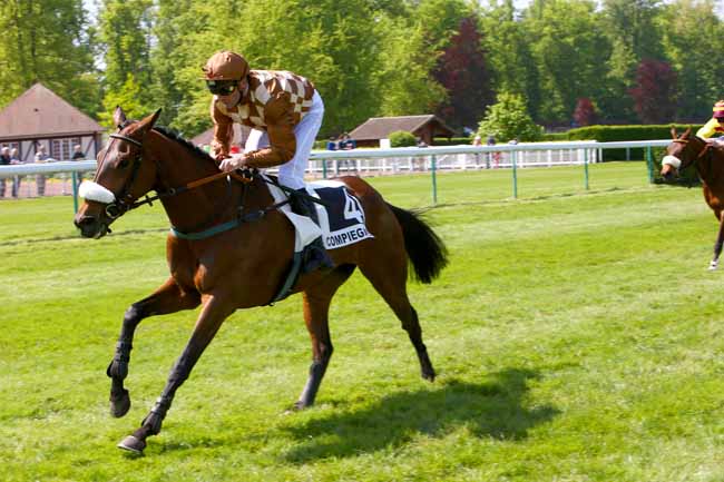 Photo d'arrivée de la course pmu PRIX DU GRAND MARECHAL à COMPIEGNE le Vendredi 4 mai 2018