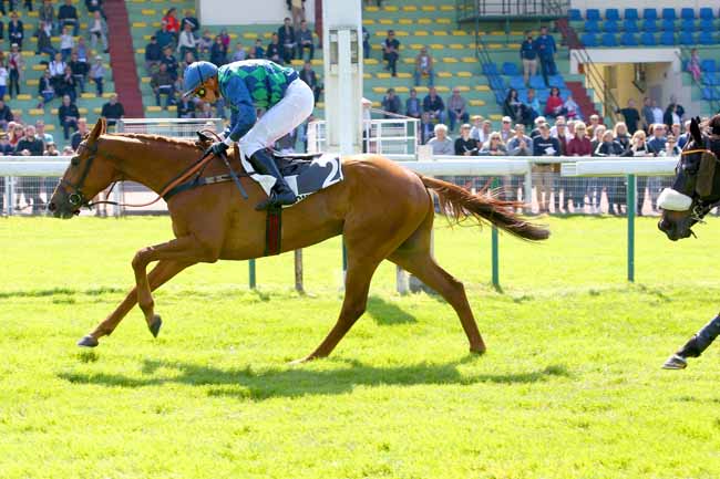 Photo d'arrivée de la course pmu PRIX ALAIN CHELET à COMPIEGNE le Vendredi 4 mai 2018