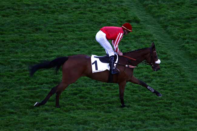 Photo d'arrivée de la course pmu PRIX PANSA à AUTEUIL le Lundi 7 mai 2018