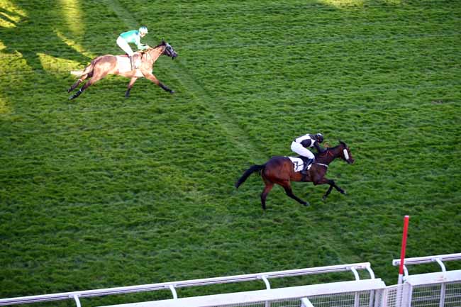 Photo d'arrivée de la course pmu PRIX FAUCHE LE PRE à AUTEUIL le Lundi 7 mai 2018