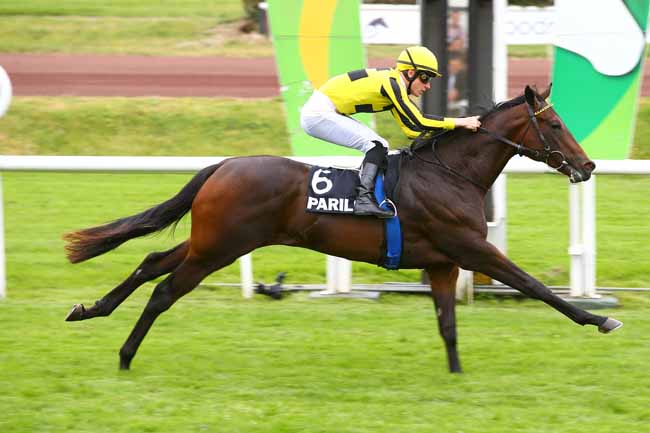 Photo d'arrivée de la course pmu PRIX DES HORTENSIAS à LYON-PARILLY le Jeudi 10 mai 2018