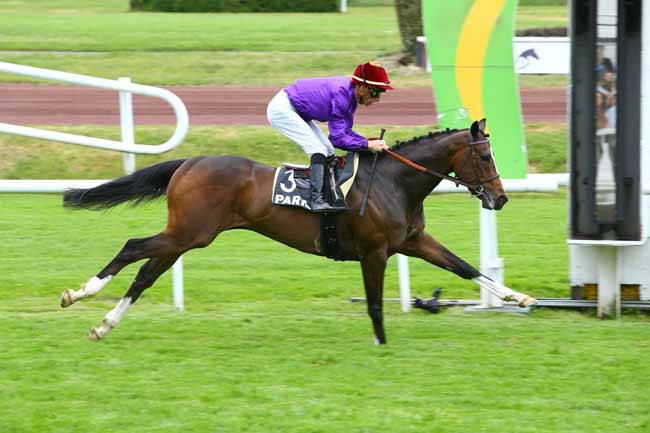 Photo d'arrivée de la course pmu PRIX RADIO SCOOP à LYON-PARILLY le Jeudi 10 mai 2018