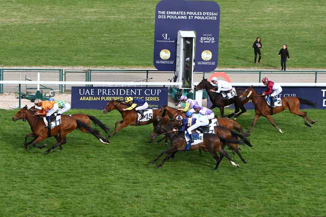 Photo d'arrivée de la course pmu PRIX DE BERCY à LONGCHAMP le Dimanche 13 mai 2018