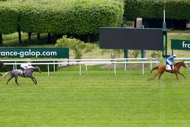 Photo d'arrivée de la course pmu PRIX PERRUCHE BLEUE à SAINT-CLOUD le Lundi 14 mai 2018