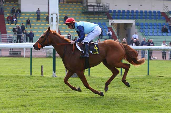 Photo d'arrivée de la course pmu PRIX BOUM à COMPIEGNE le Mardi 15 mai 2018
