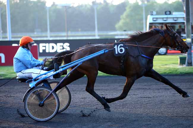 Photo d'arrivée de la course pmu PRIX FIDES à PARIS-VINCENNES le Mardi 15 mai 2018