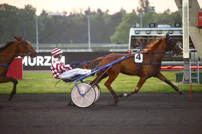 Photo d'arrivée de la course pmu PRIX MURZIM à PARIS-VINCENNES le Mardi 15 mai 2018