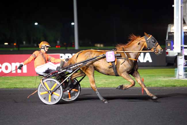 Photo d'arrivée de la course pmu PRIX KATHARINA à PARIS-VINCENNES le Mardi 15 mai 2018