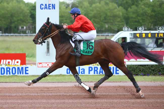 Photo d'arrivée de la course pmu SAINT-LEGER DES TROTTEURS à CAEN le Mercredi 16 mai 2018