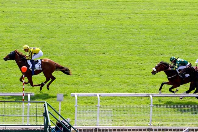 Photo d'arrivée de la course pmu PRIX DE CHANTELOUP à MAISONS-LAFFITTE le Mercredi 16 mai 2018