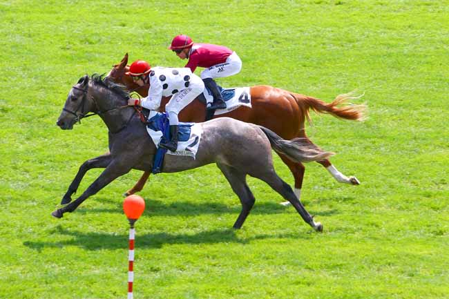 Photo d'arrivée de la course pmu PRIX KEFALIN à MAISONS-LAFFITTE le Mercredi 16 mai 2018