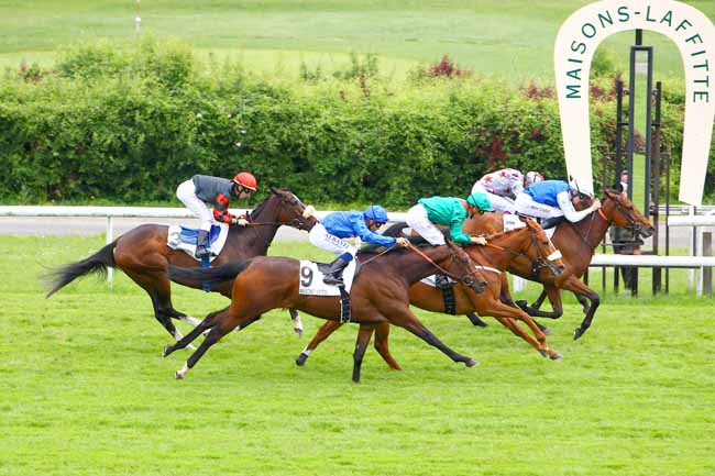 Photo d'arrivée de la course pmu PRIX NOBILIARY à MAISONS-LAFFITTE le Mercredi 16 mai 2018