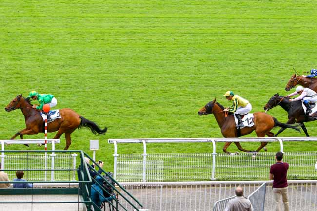 Photo d'arrivée de la course pmu PRIX DE LA PLACE CHARLEMAGNE à MAISONS-LAFFITTE le Mercredi 16 mai 2018