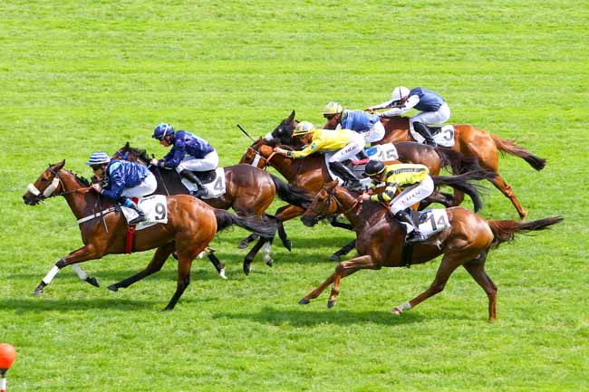 Photo d'arrivée de la course pmu PRIX DU LIEU MANCHON à MAISONS-LAFFITTE le Mercredi 16 mai 2018