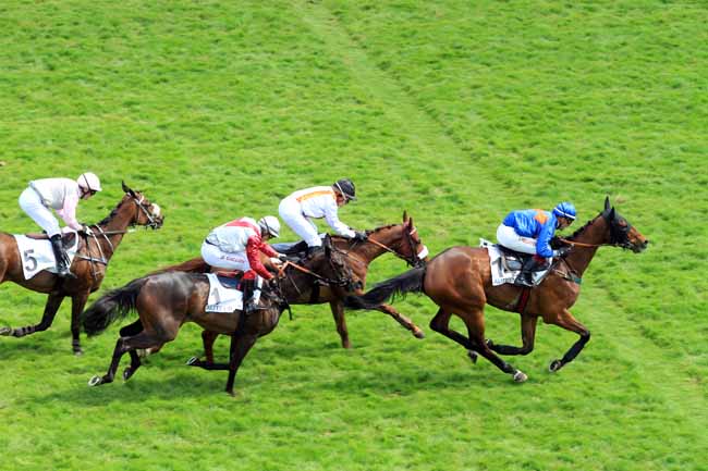 Photo d'arrivée de la course pmu PRIX WILD RISK à AUTEUIL le Dimanche 20 mai 2018