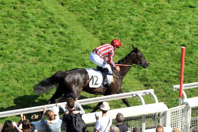 Photo d'arrivée de la course pmu GRANDE COURSE DE HAIES D'AUTEUIL à AUTEUIL le Dimanche 20 mai 2018