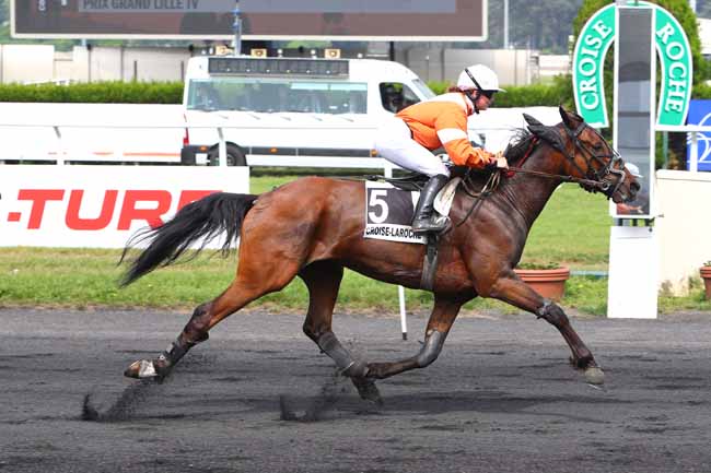 Photo d'arrivée de la course pmu PRIX GRAND LILLE TV à LE CROISE-LAROCHE le Mercredi 23 mai 2018