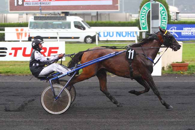 Photo d'arrivée de la course pmu PRIX EURO RINGEAT à LE CROISE-LAROCHE le Mercredi 23 mai 2018
