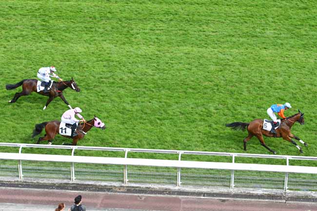 Photo d'arrivée de la course pmu PRIX GOPAL à AUTEUIL le Samedi 26 mai 2018